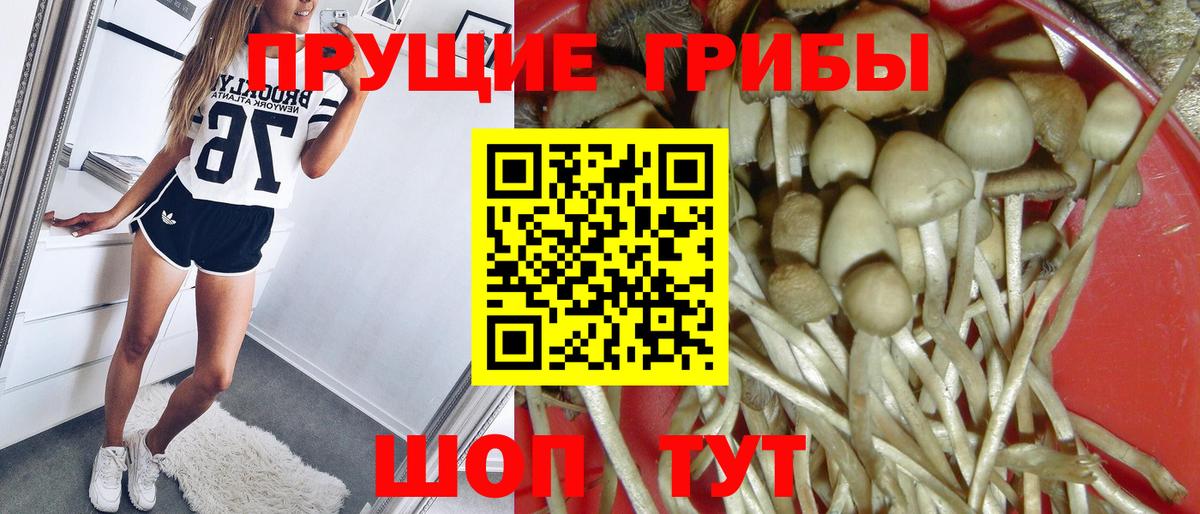 Псилоцибиновые грибы мухоморы  Вход с VPN  Галлюциногенные грибы Psilocybine cubensis  продажа наркотиков  Заволжье 